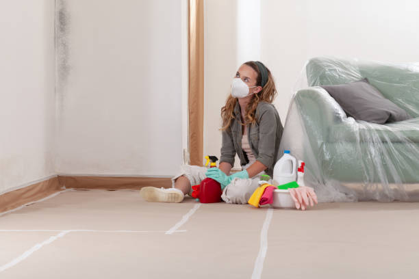 Trusted Black Mold Removal service in Calvin, PA - WQB Mold Removal